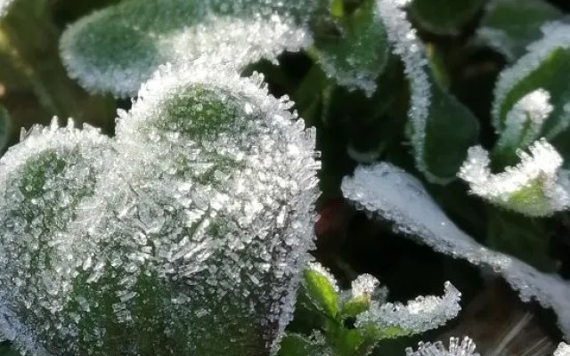 Zhusha Yunman Hostel Fanjing Mountain