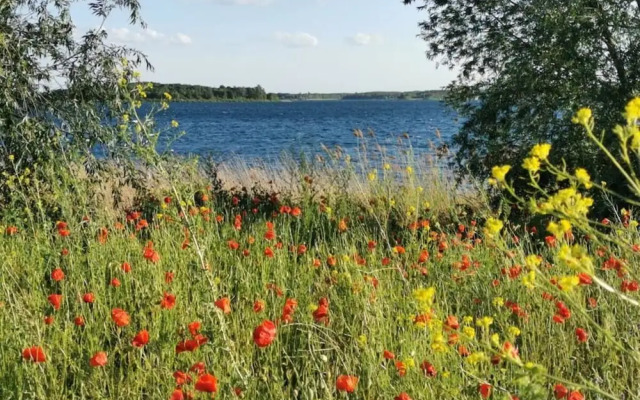 Sea Domicile Goitzsche