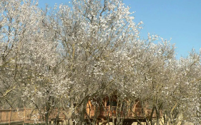 Cabane d'Amour