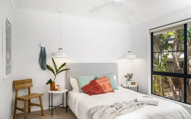 Bangalow Palms