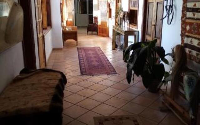 Ziggy's Mountain Retreat