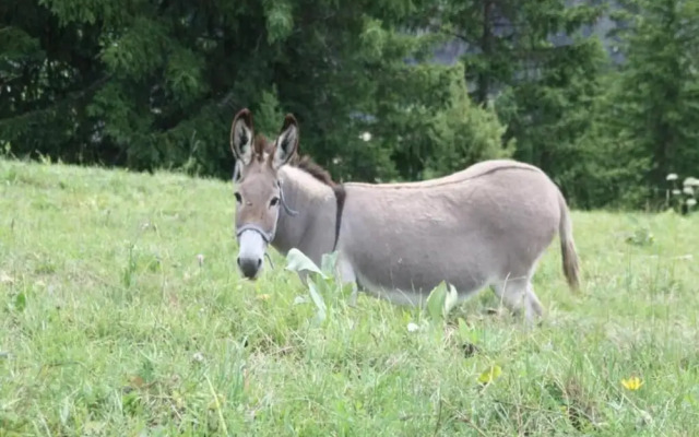 Studio in Saint-sorlin-d\"arves