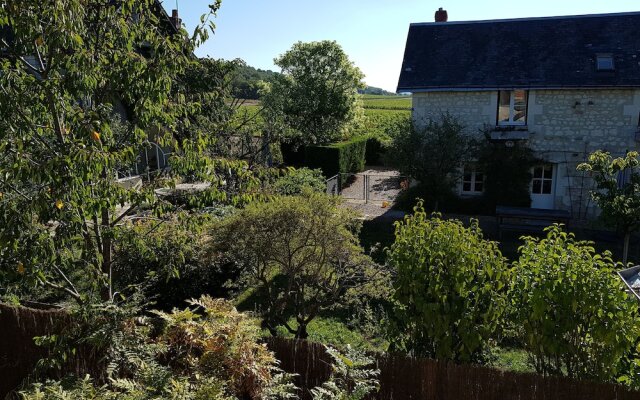 Les Camélias des Demoiselles de Pallus