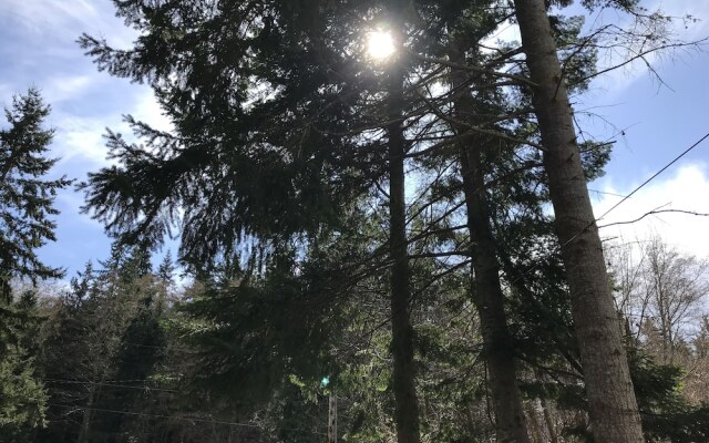 Seattle Urban Village