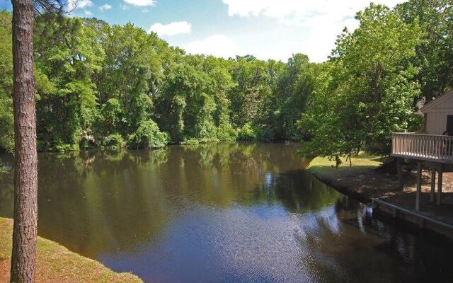 Night Heron 51 by RedAwning
