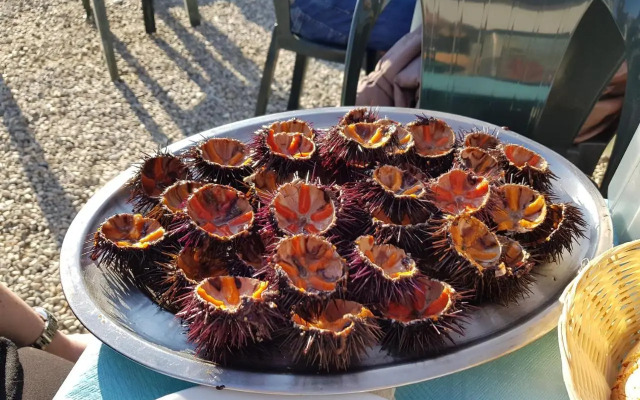 Alloggio Turistico Suite Nino
