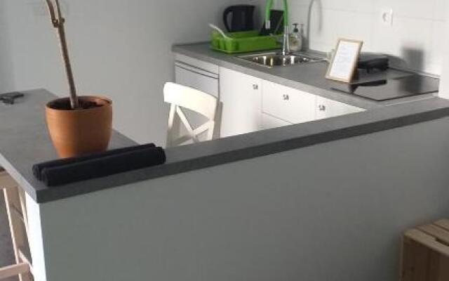 Studio apartman Fleiss