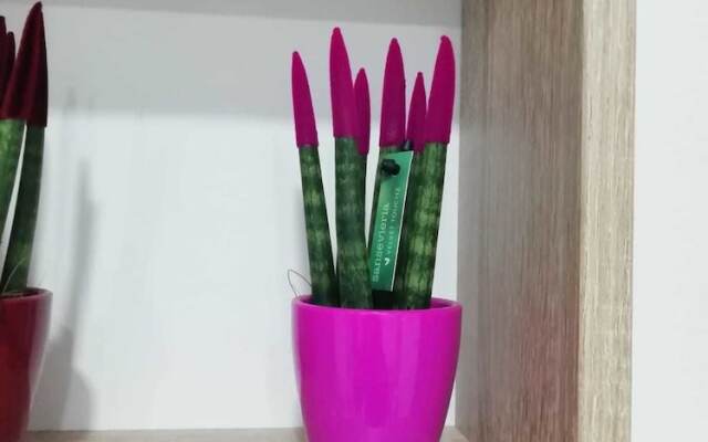 Sabbia Bianca Affittacamere