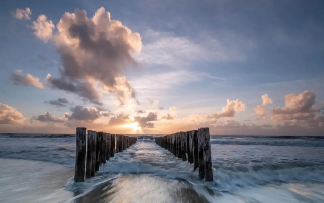 Pet-friendly Escape by the Sea