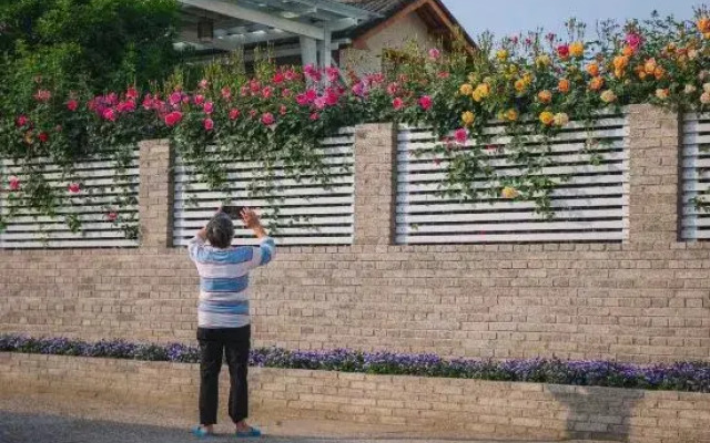 Songyang Nanshan Nanhuayuan Meisu