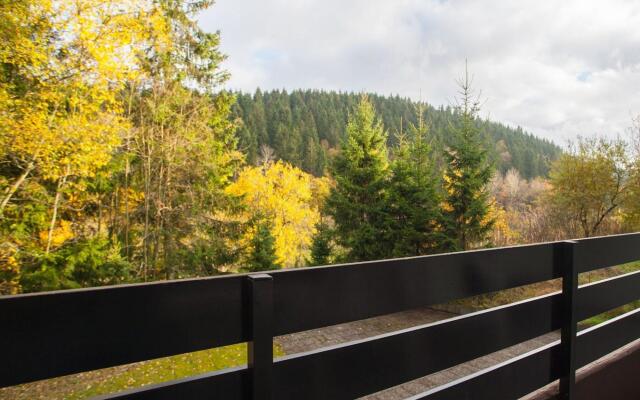 Apartment Near the ski Area in Winterberg