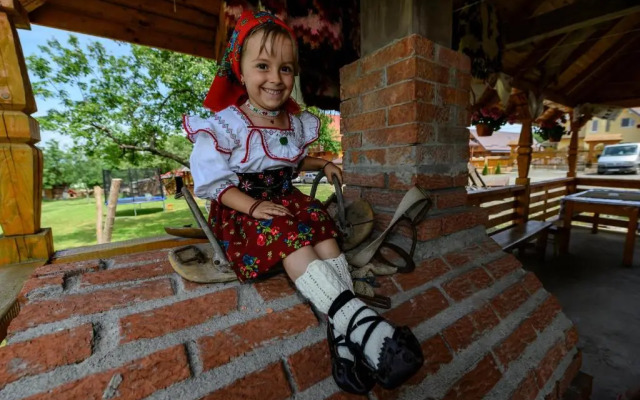 Pensiune agroturistică "Casa Teodora"