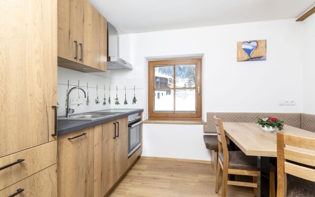 Swanky Apartment in Tyrol Near Ski Area