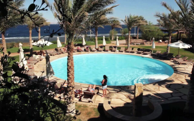 Dahab Paradise