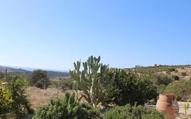 Spiti tou Papa sto Vouno