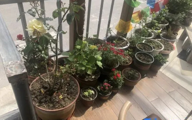 Ya'an Gasa Tibetian Inn