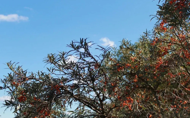 Serene Apartment in Roggow with garden seating