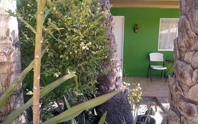 New! Cabana Frida 1/bdr