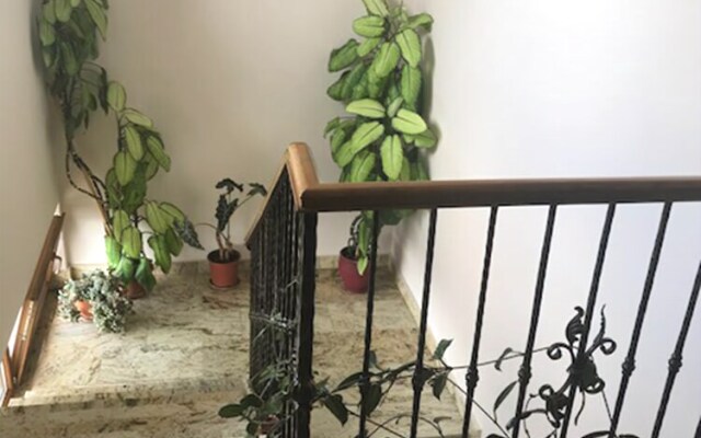 Pensiunea Casa Blanca