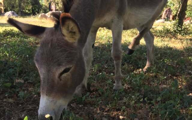 Domaine de Saint Cerice en Ardèche Sud