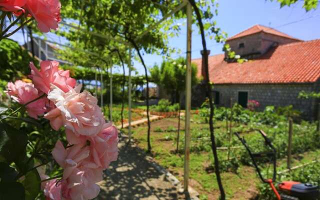 Guest House Savonari