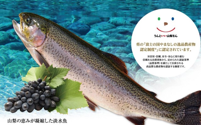 Mitoyamaso