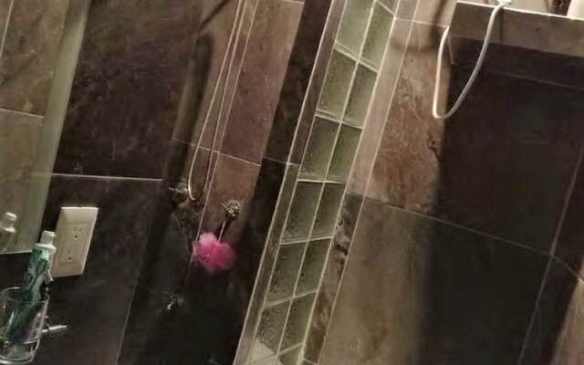 Kaeli's Caribbean Studios