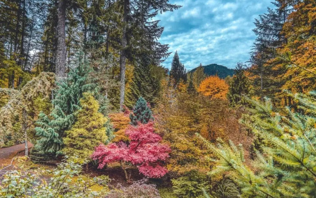 Forest View Lodge