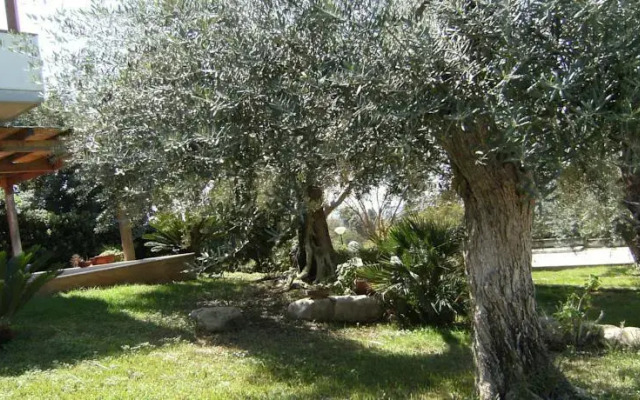 Verdemare a Kastalia