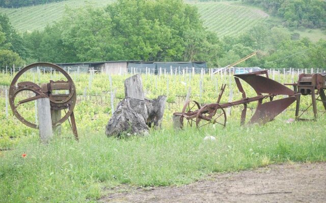 Azienda Agricola Polveraia