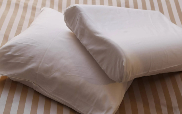 Hotel Mystays Sapporo Nakajima Park