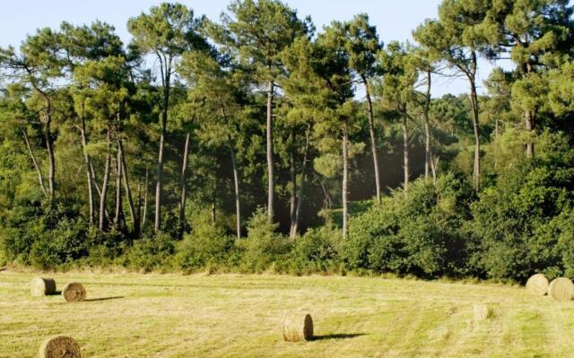 Gîte Mugron, 3 pièces, 4 personnes - FR-1-360-176