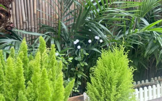 Shuimu Yunxiao Huanxi Courtyard B&B (Dali Ancient Town Branch)