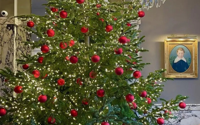 Hotel Bamberger Hof Bellevue
