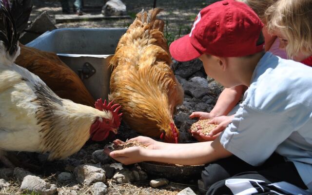 Ferme Saint Pierre