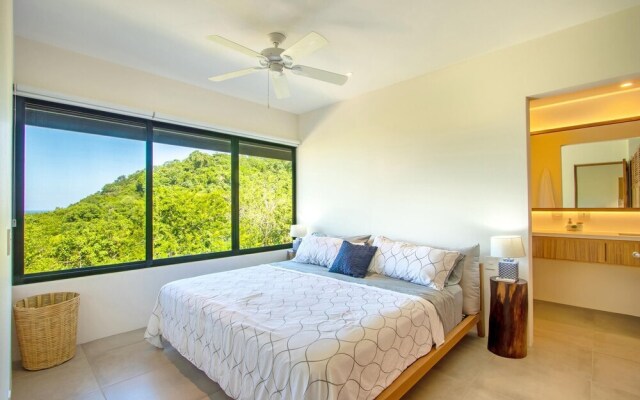 Agaves 204