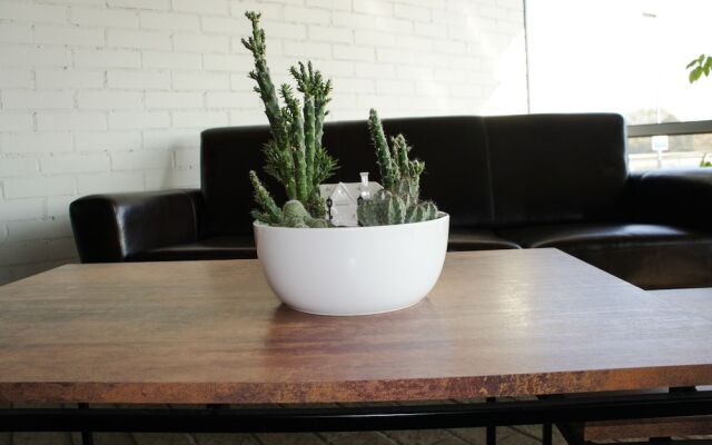 Zaliasis slenis - Self check-in hotel