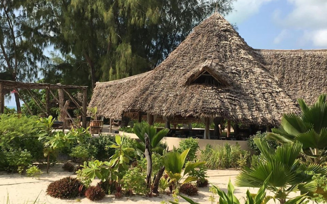 Driftwood Beach Lodge