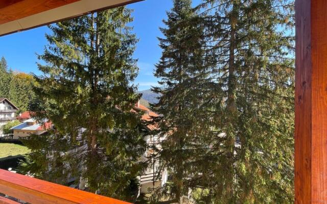 Apartament Lexannona Busteni