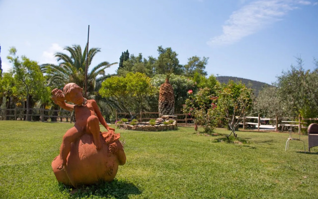 Azienda Agricola Sapereta