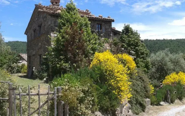 La Tortorella Greppolischieto