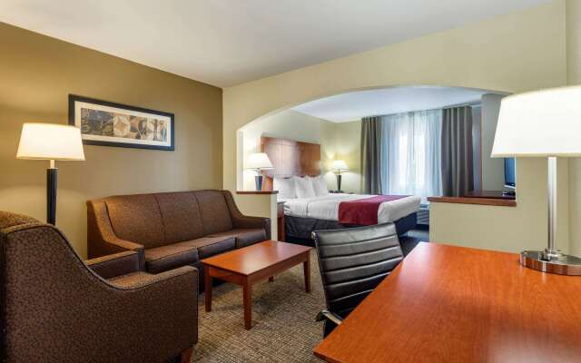 Comfort Suites North Dallas