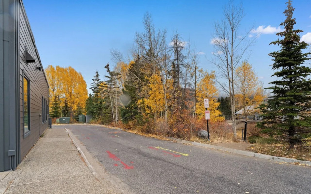 Blazing Saddles #102