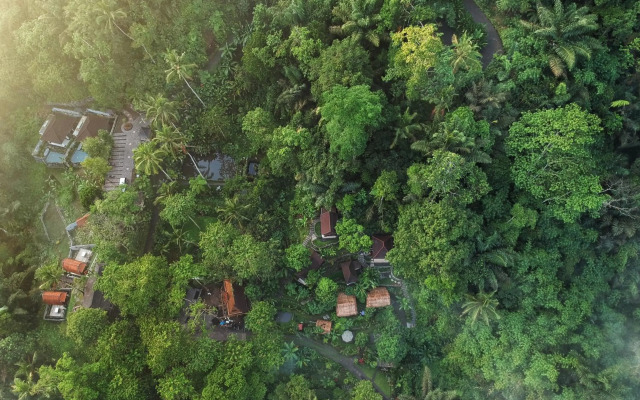 Bali Jungle Resort