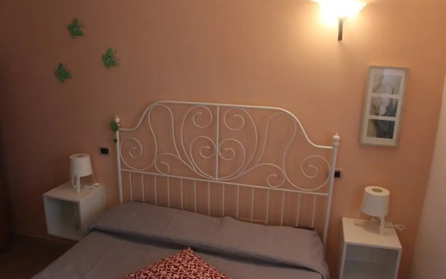 Sul sentiero di Francesco