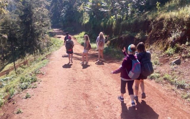 Kilihomebase & Campsite - Hostel