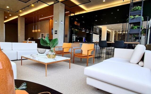 Ibis Nova Serrana