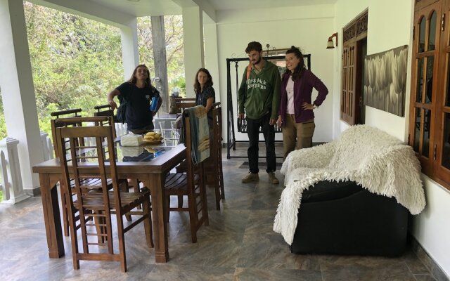 Hamadhi Guest