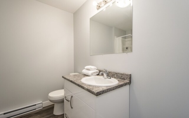 Spacious DAL & Downtown Apartments