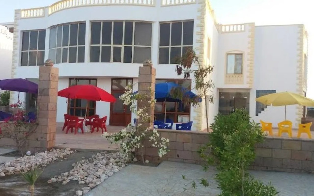 Shark paradise-Adults Only